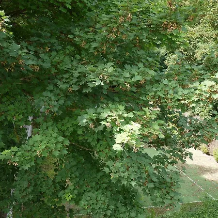 Апартаменты Piscine Pour Decompresser